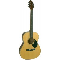 GREG BENNETT GA60/N акустическая гитара