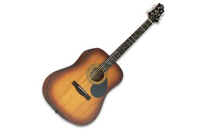 GregBennett D1 BS акустическая гитара