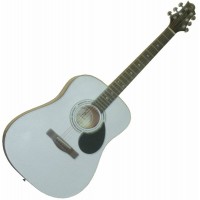 GregBennett D1 PW акустическая гитара