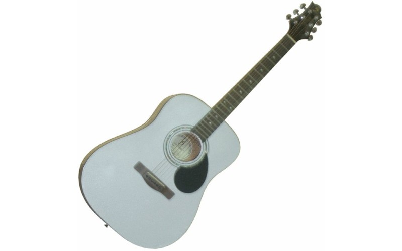 GregBennett D1 PW акустическая гитара