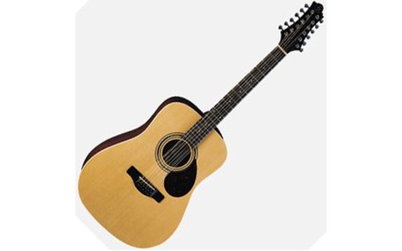 GregBennett D2-12/N - Акустическая гитара 12 струнная, dreadnought