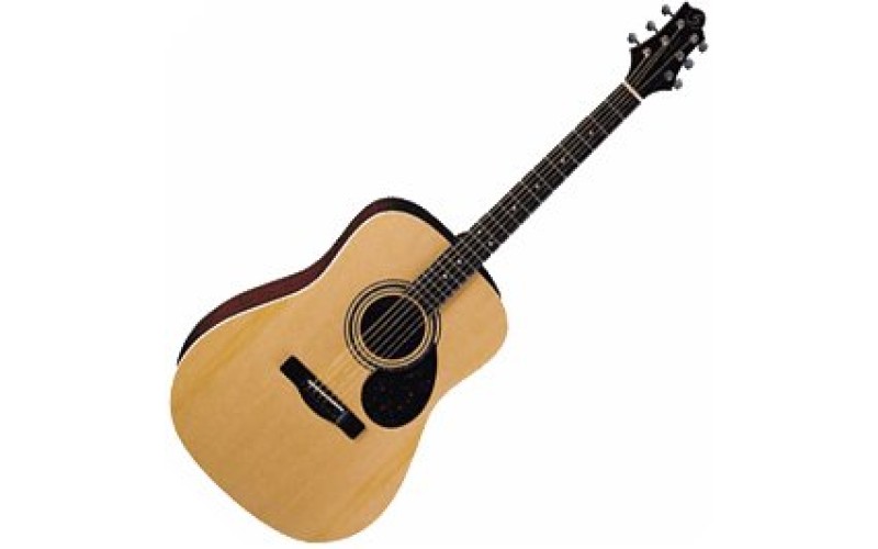 GregBennett D2 N акустическая гитара