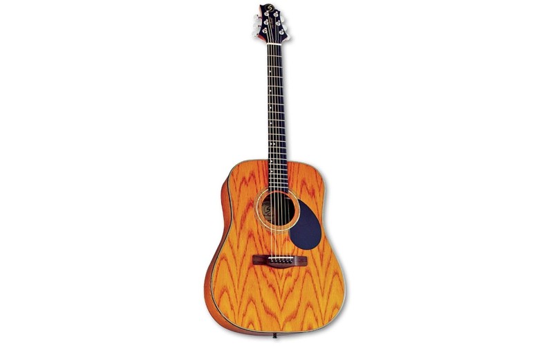 GregBennett D4 акустическая гитара