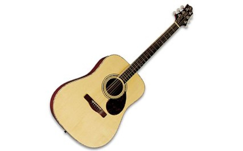 GregBennett D5 акустическая гитара