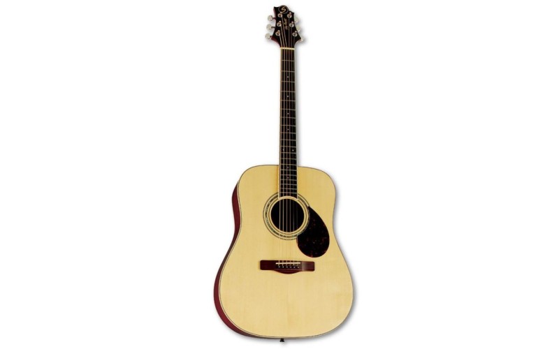 GregBennett D5 акустическая гитара