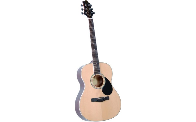 GregBennett GA100S/N акустическая гитара