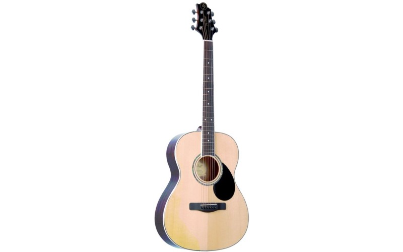 GregBennett GA100S/N акустическая гитара