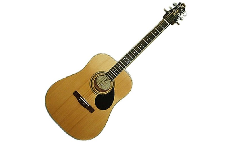 GregBennett GD100S акустическая гитара