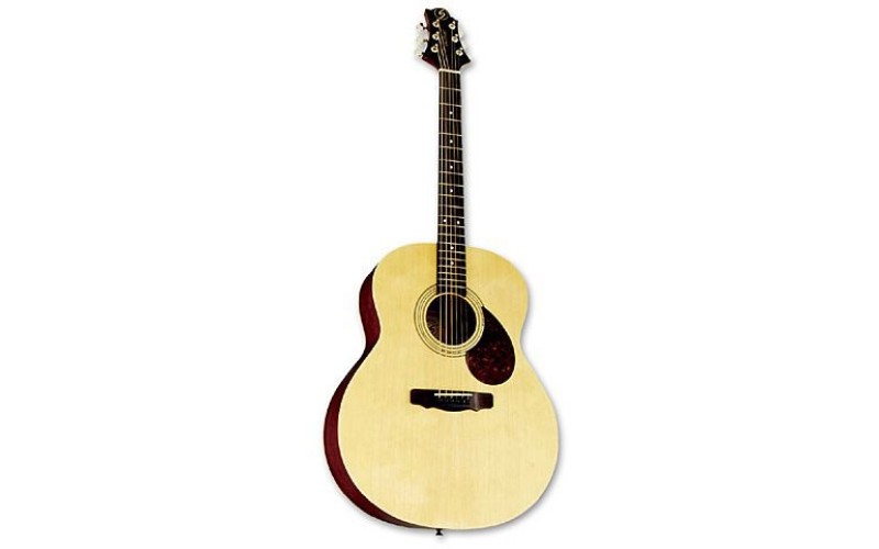 GregBennett GJ100S N акустическая гитара