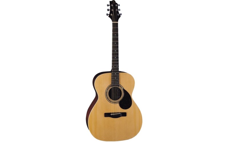 GregBennett OM2 акустическая гитара