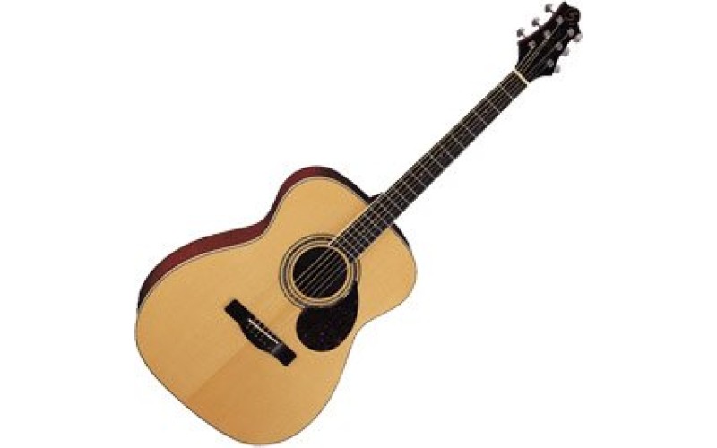 GregBennett OM5 акустическая гитара