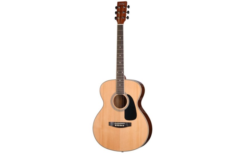 HOMAGE LF-4021 Фольковая гитара