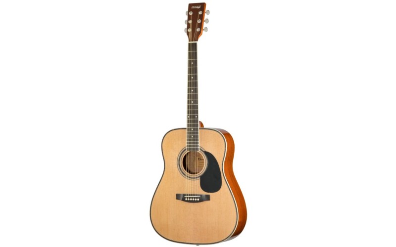 HOMAGE LF-4123 Акустическая гитара