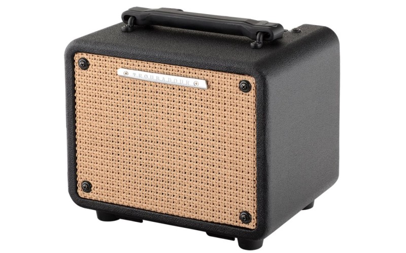 IBANEZ T15-U TROUBADOUR ACOUSTIC AMPLIFIER комбоусилитель для акустической гитары