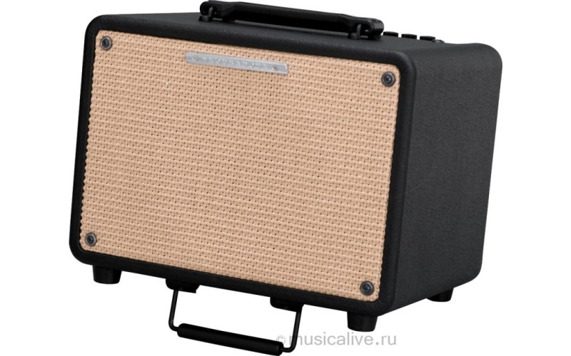 IBANEZ T30-U TROUBADOUR ACOUSTIC COMBO комбо для акустической гитары, 30вт