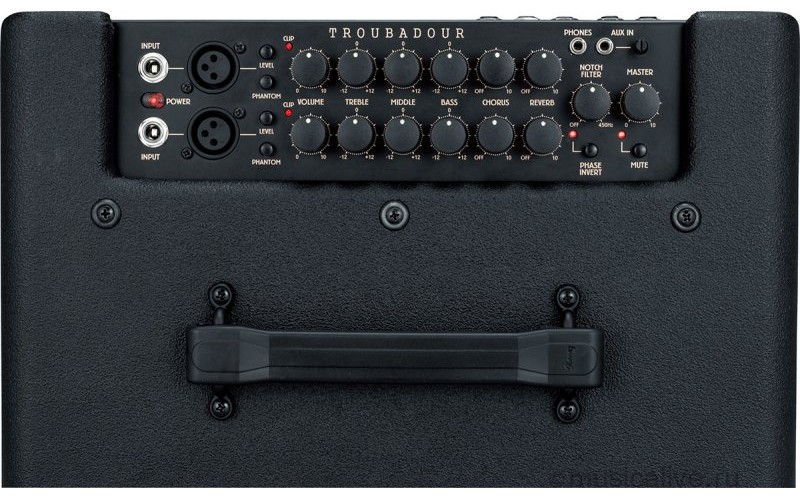 IBANEZ T30-U TROUBADOUR ACOUSTIC COMBO комбо для акустической гитары, 30вт