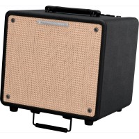 IBANEZ T80II TROUBADOUR ACOUSTIC COMBO комбо для акустической гитары, 80Вт