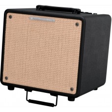 IBANEZ T80II TROUBADOUR ACOUSTIC COMBO комбо для акустической гитары, 80Вт