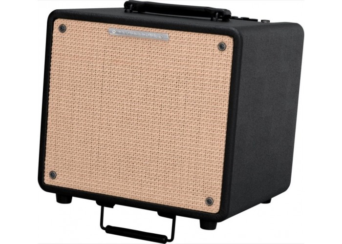 IBANEZ T80II TROUBADOUR ACOUSTIC COMBO комбо для акустической гитары, 80Вт