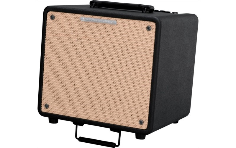 IBANEZ T80II TROUBADOUR ACOUSTIC COMBO комбо для акустической гитары, 80Вт