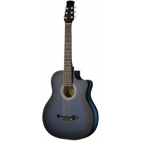 Ижевский завод Т.И.М 42C-BL Гитара акустическая