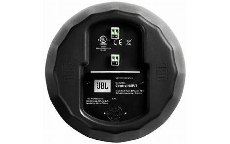 JBL Control 65P/T компактная широкополосная подвесная АС