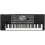 KORG Pa600 профессиональная аранжировочная станция, 61 кл