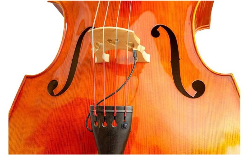 KREMONA DB-1 - Звукосниматель для Контрабаса