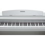 KURZWEIL M1 WH - цифровое пианино