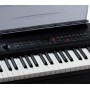 KURZWEIL MPS20 - цифровое пианино