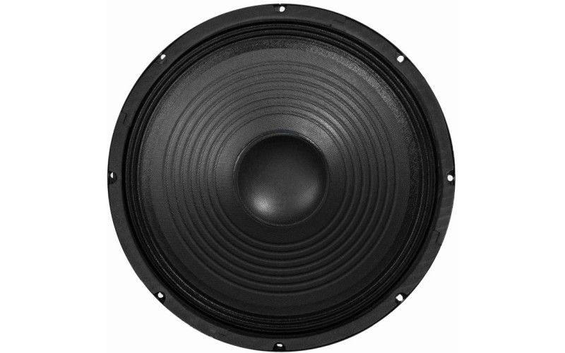 LEEM Speaker-SPA12 Динамик НЧ-СЧ 12