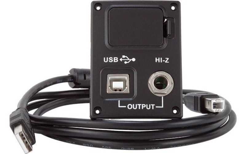 Luna USB UPGRADE - разъем для акустических гитар с выходом USB