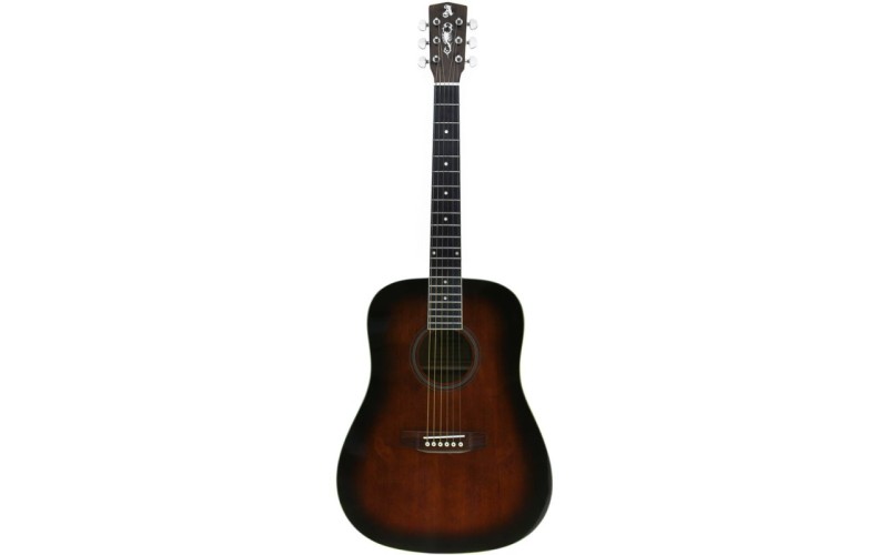 ALICANTE TITANIUM BR - акустическая гитара
