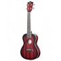 MARTIN ROMAS MR-02 TRD (24