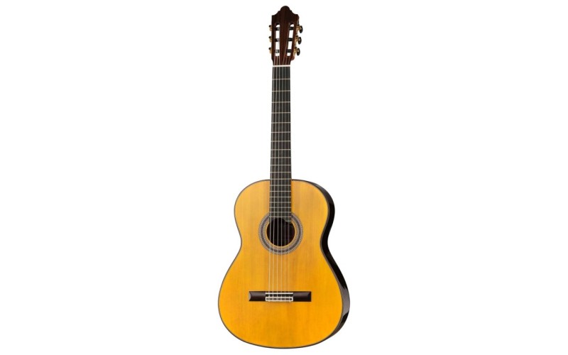 Martinez DF69-Retro Классическая гитара