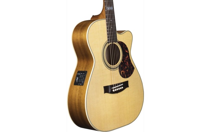 Maton EBG808C-TE - электроакустическая гитара, корпус 808 с вырезом