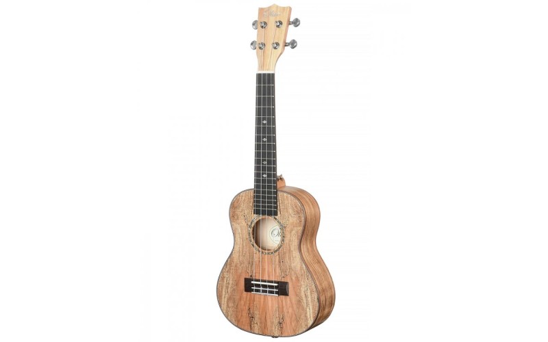 OLIVE U350 (24