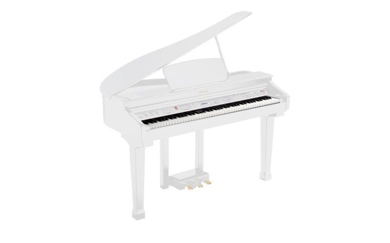 Orla Grand-120 WHITE Цифровой рояль, с автоаккомпанементом, белый (2 коробки)