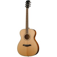 Parkwood P620 Акустическая гитара, с футляром