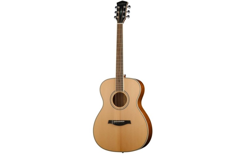 Parkwood P620 Акустическая гитара, с футляром