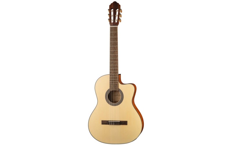 Parkwood PC110 - Электроакустическая классическая гитара, с вырезом