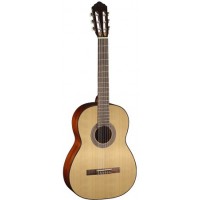 Parkwood PC90 - Классическая гитара 4/4 с чехлом