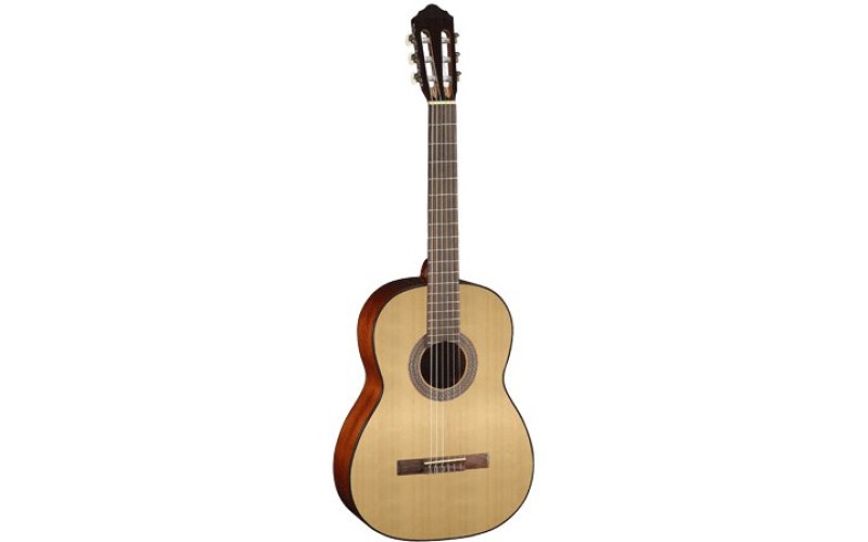 Parkwood PC90 - Классическая гитара 4/4 с чехлом