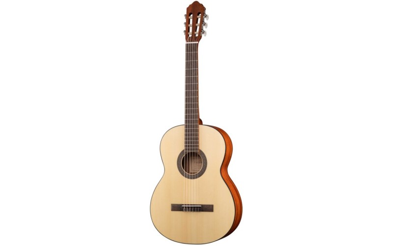 Parkwood PC90 - Классическая гитара 4/4 с чехлом