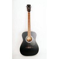 Parkwood PF51 BKS Акустическая гитара с чехлом