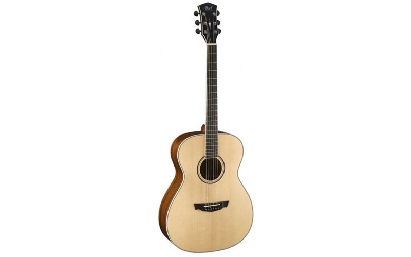 Parkwood PW-320-BW-NS Акустическая гитара, с чехлом, матовая