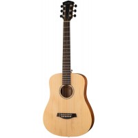 Parkwood S-Mini - Акустическая гитара, дредноут 3/4, с чехлом