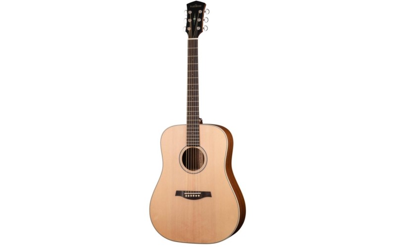 Parkwood S21 GT - Акустическая гитара, дредноут, с чехлом, глянец