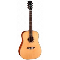 Parkwood S21-NS Акустическая гитара, дредноут, с чехлом