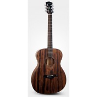 Parkwood S22M NS - Акустическая гитара, с чехлом, матовая